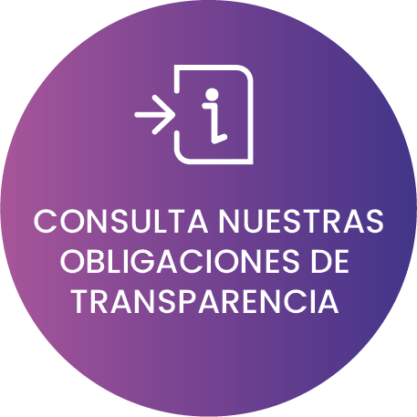 Consulta nuestras obligaciones de transparencia